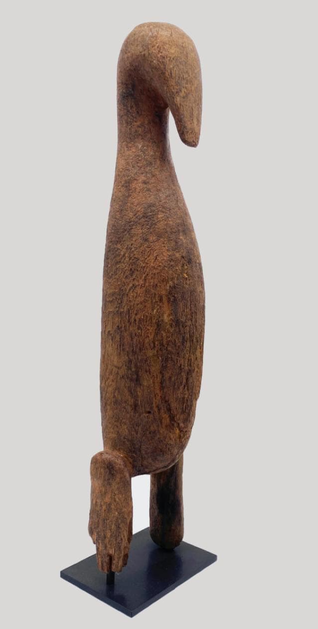 Oiseau Lobi-Dagari
